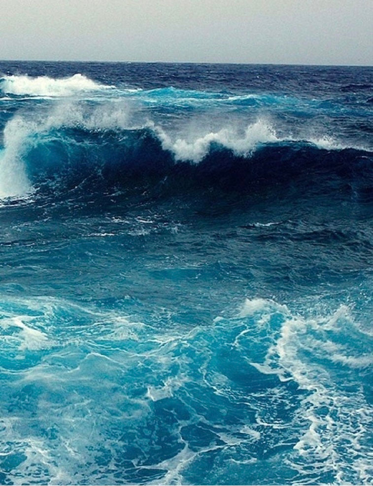 'Breaking Waves' - Dorset Horn - DK