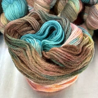 'Kingfisher' - Dorset Horn DK