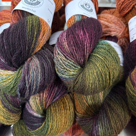 'Worden Fall' & 'Play Doh! British Corriedale - DK & Chunky