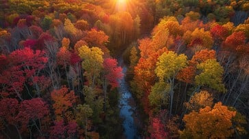 Autumn Leaves - Aran - Friday £15